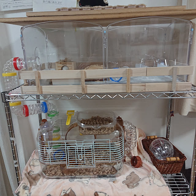kohalu1003さんの実例写真