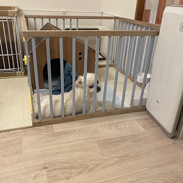 akoさんの実例写真