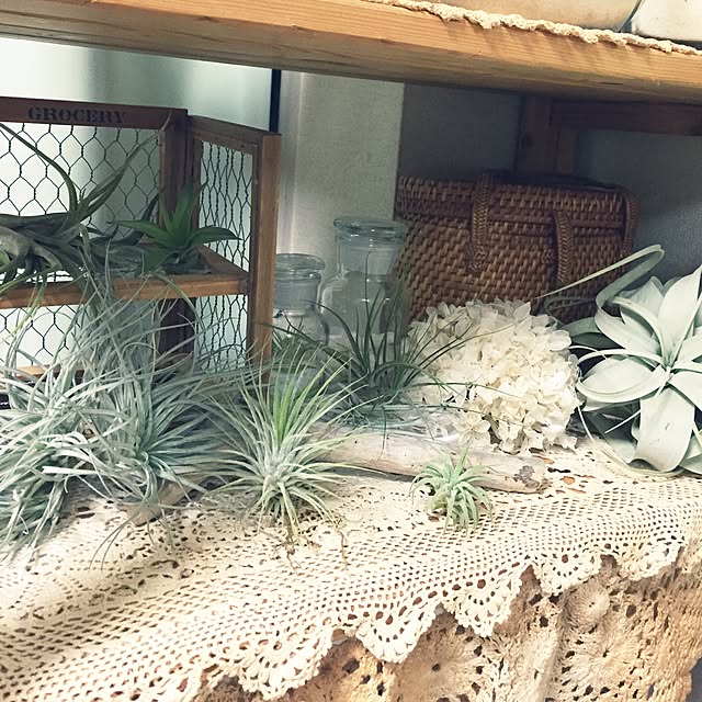 mockさんの実例写真