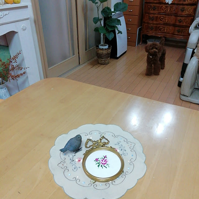 satochiさんの実例写真