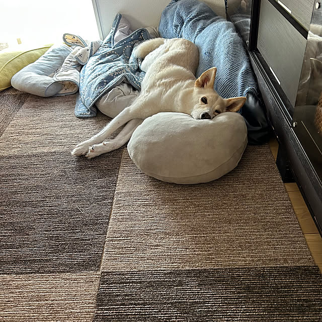 tanboさんの部屋