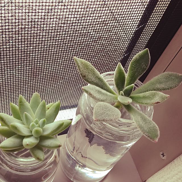 ecoさんの実例写真