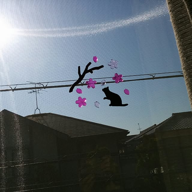壁/天井のインテリア実例 - 2015-03-27 08:39:35