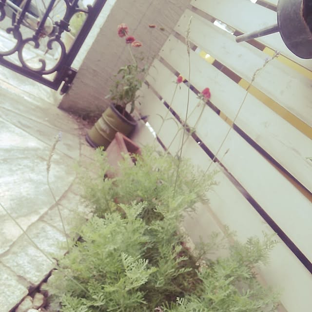 ogu1028さんの実例写真