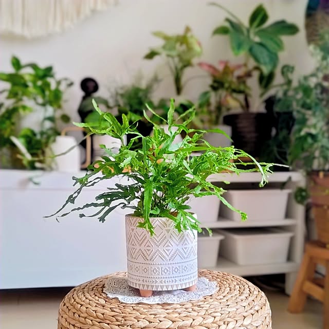 YuriYuriさんの部屋