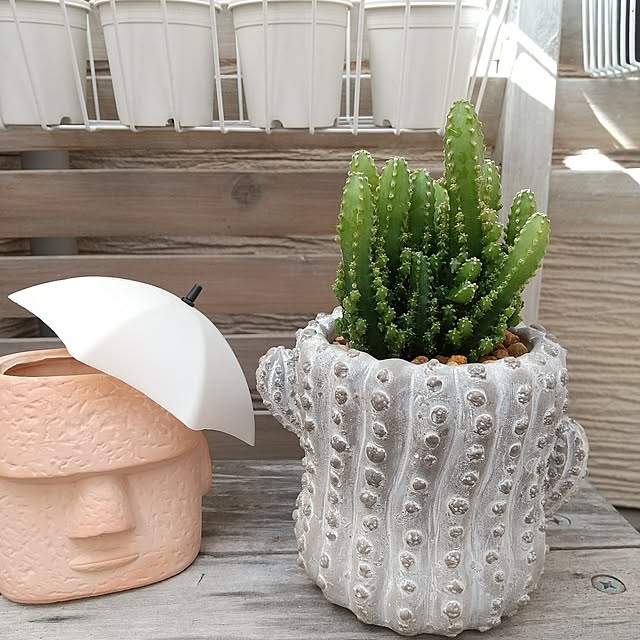 meiさんの実例写真