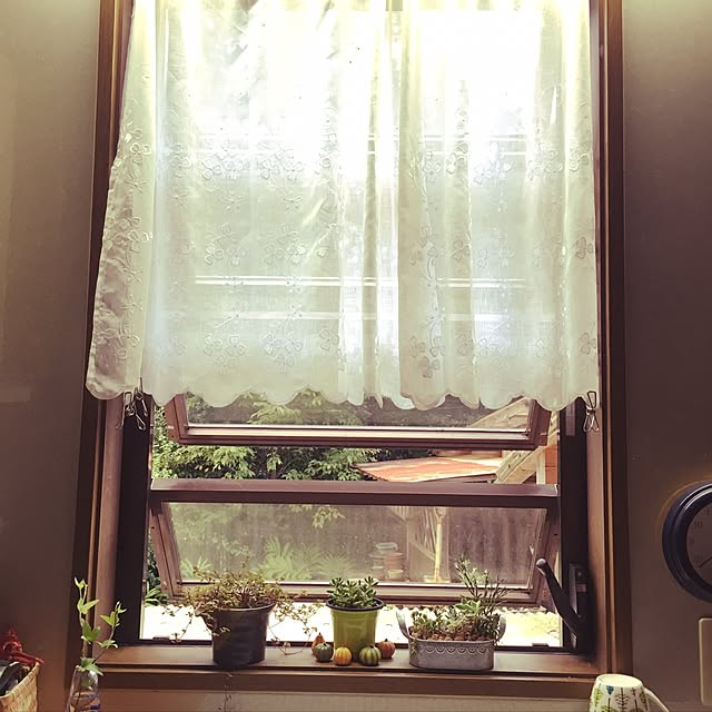 harunoさんの実例写真