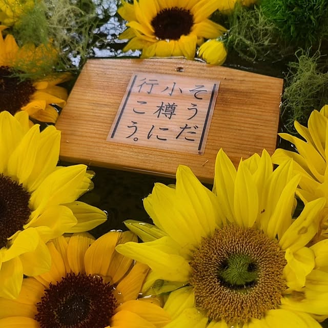 monnさんの部屋