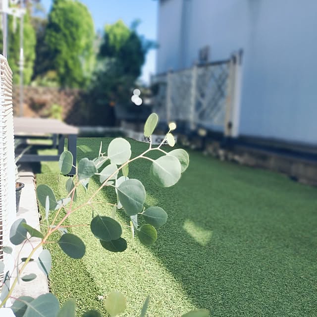 ya_maさんの実例写真