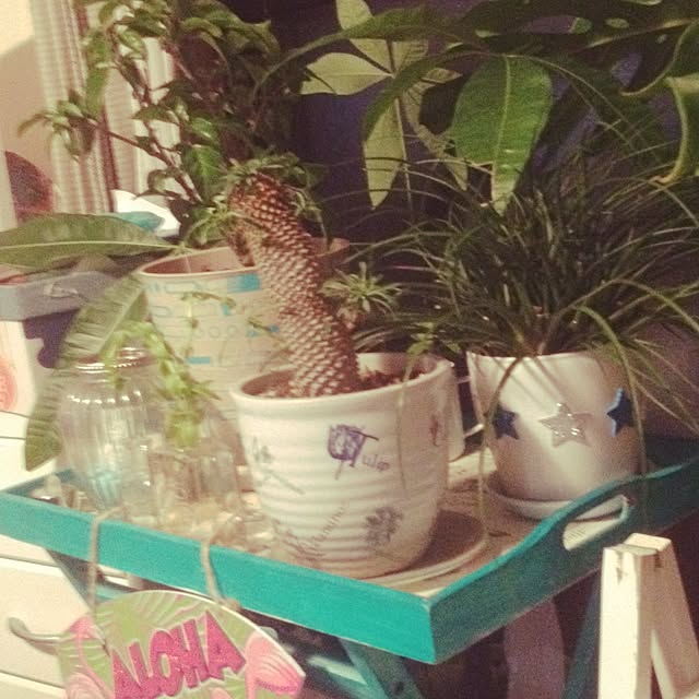 Malamaさんの実例写真