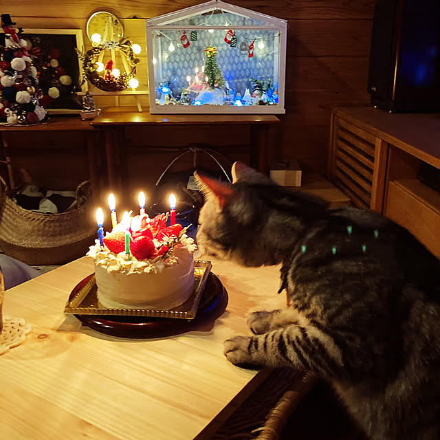 mkmkmoominさんの実例写真