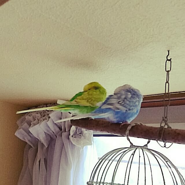 maryKayoさんの実例写真