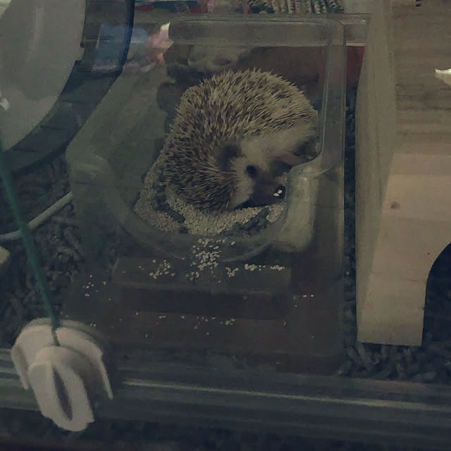 yunyumさんの実例写真