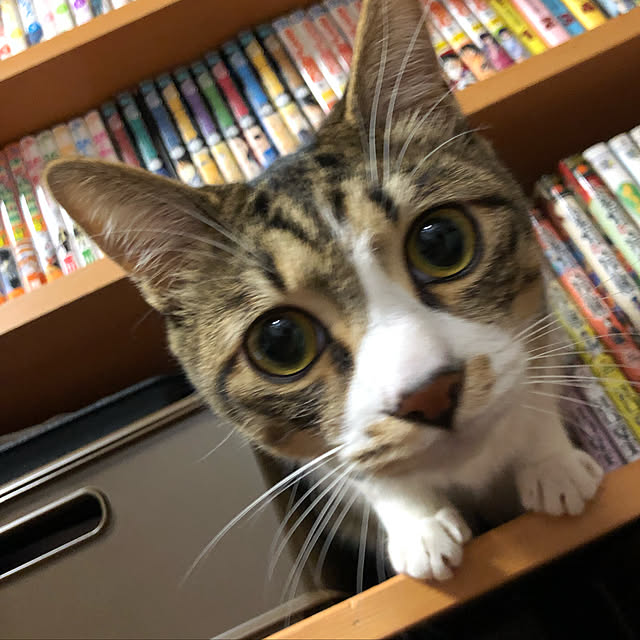 muuuuuさんの実例写真