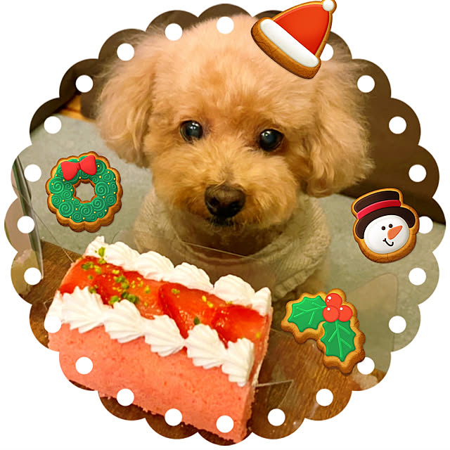 HappyRoseさんの実例写真