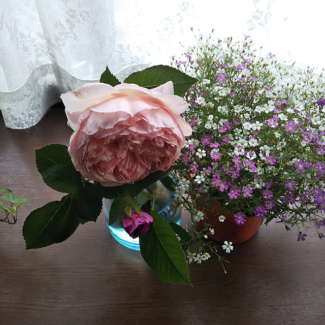sa.yさんの実例写真