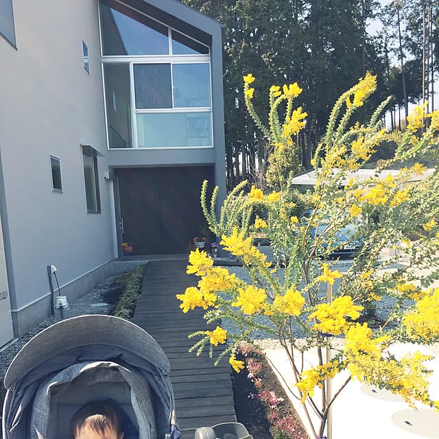 fujipatioさんの実例写真