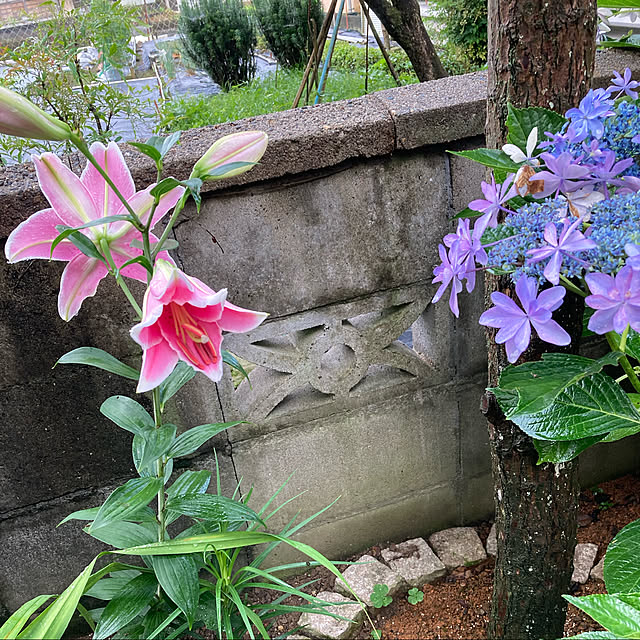 chiechanさんの実例写真