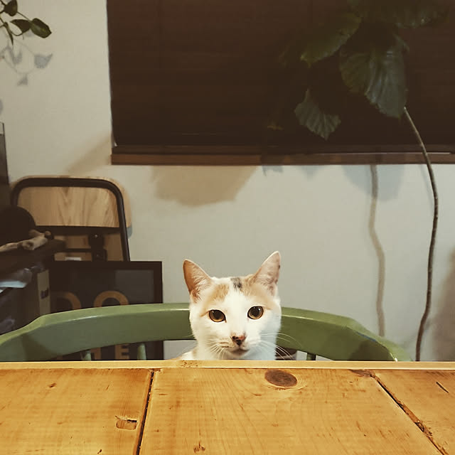 Mさんの実例写真