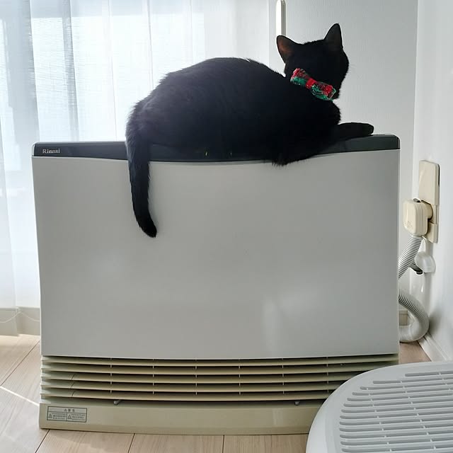 sakuraさんの部屋