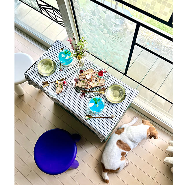 kittyさんの部屋