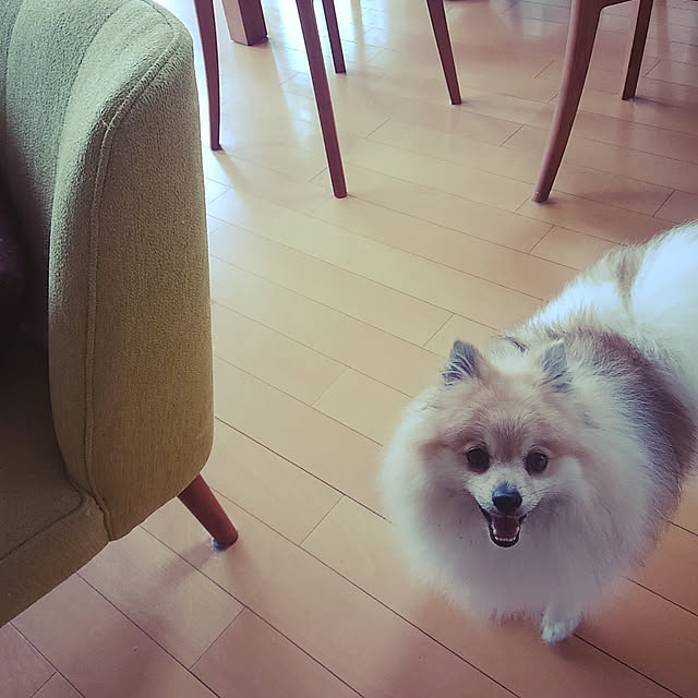 ririkoさんの実例写真