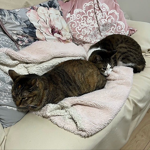 lovecats02さんの実例写真