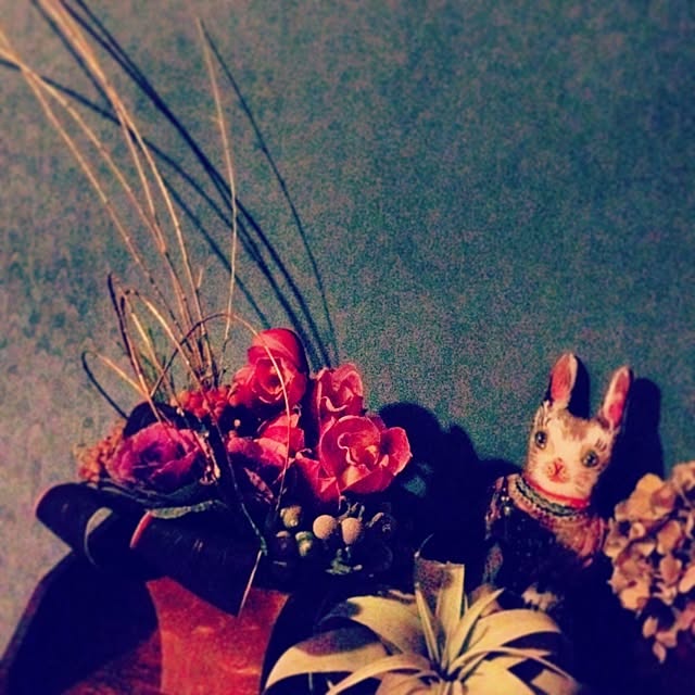 Kikoさんの実例写真
