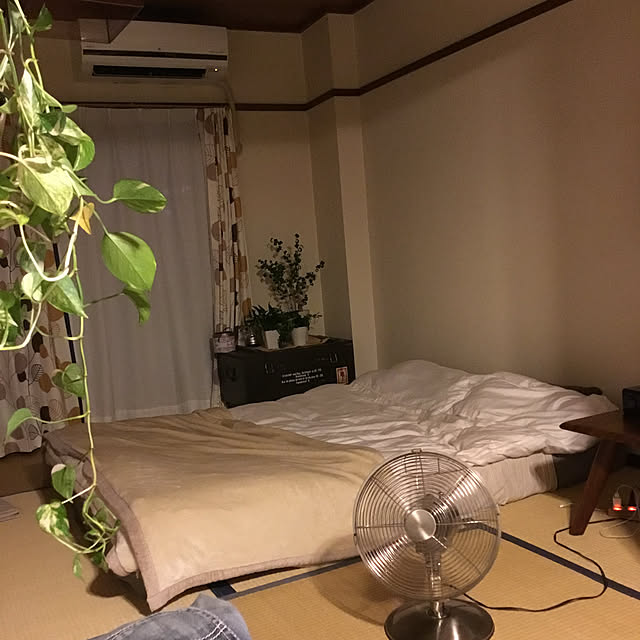 tamaさんの実例写真