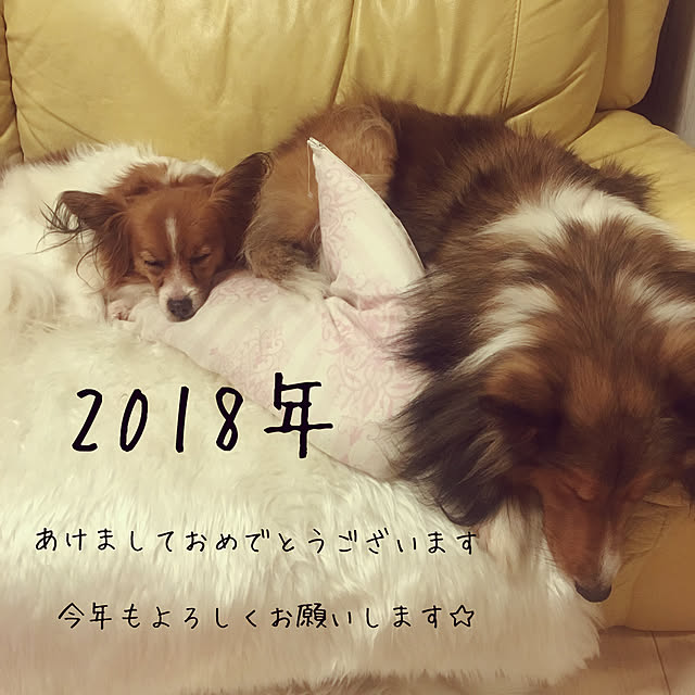 miiさんの実例写真