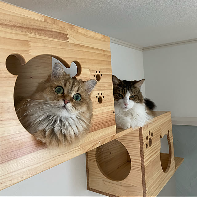 furitamaさんの実例写真