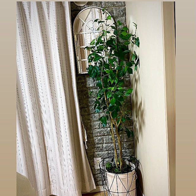 YuuKoさんのお部屋の写真