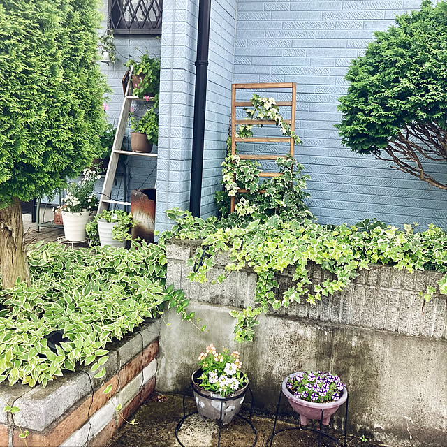 CoCo0617さんの実例写真
