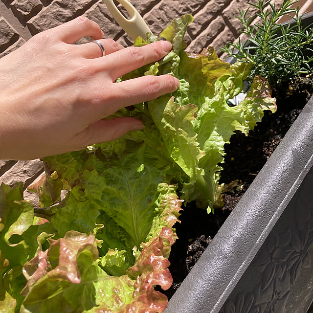 Omachanさんの部屋