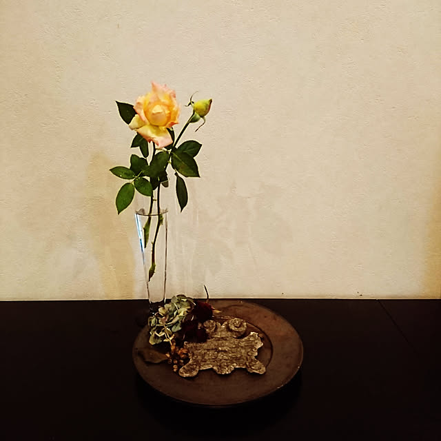 mar.333さんの実例写真