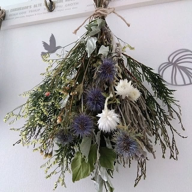 aquaさんの部屋
