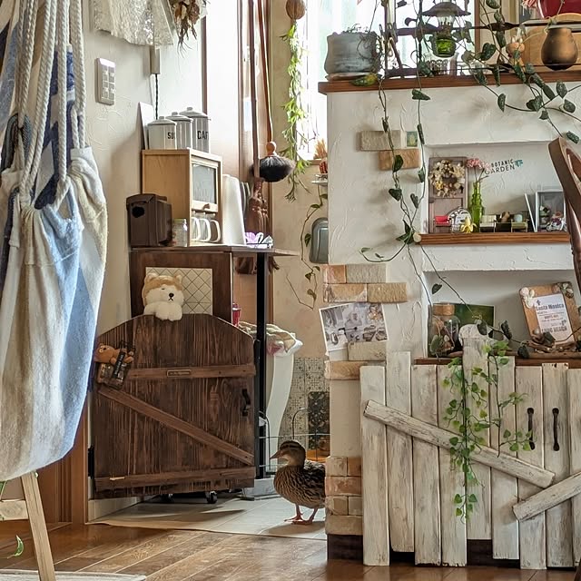 akiさんの実例写真