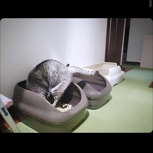 mntcさんの実例写真