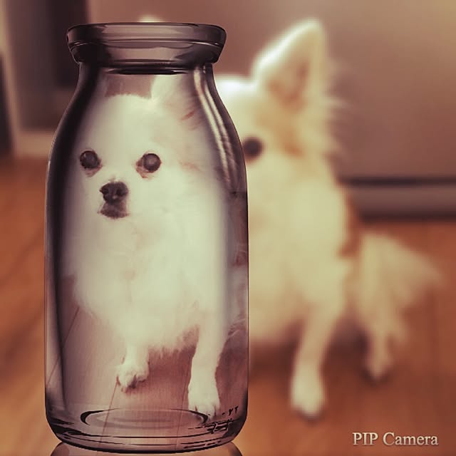 seroriさんの実例写真