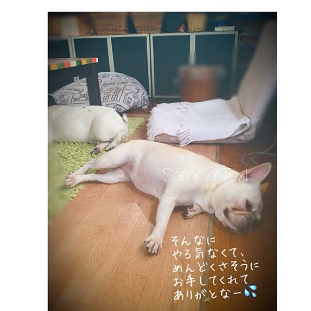 38coreさんの実例写真