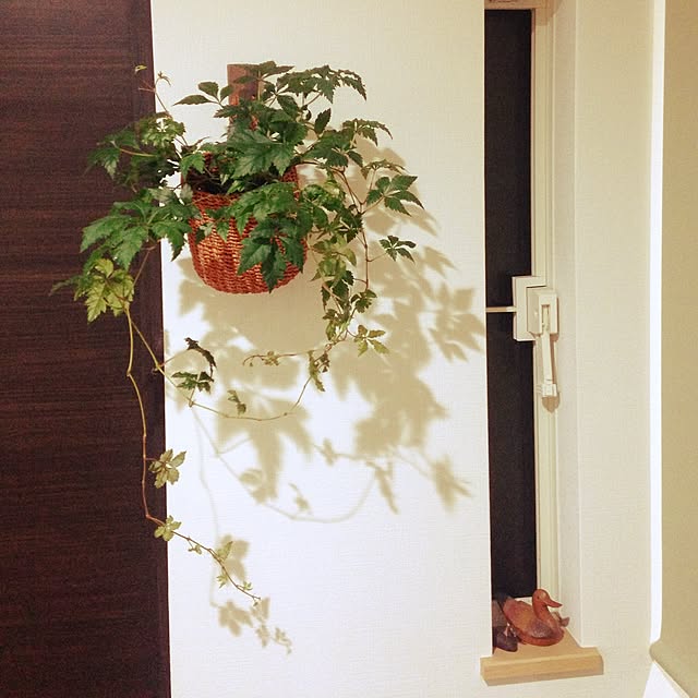 nozomiyaさんの実例写真