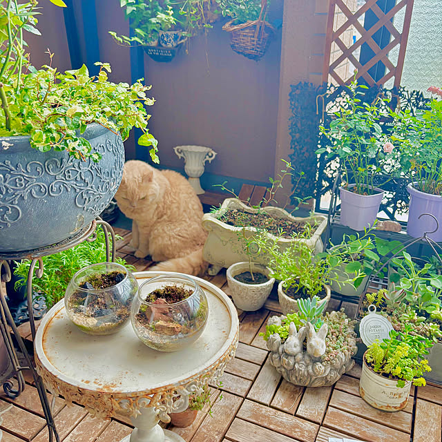 naokoさんの部屋