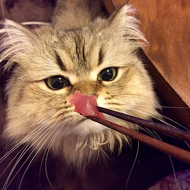 butachanさんの実例写真