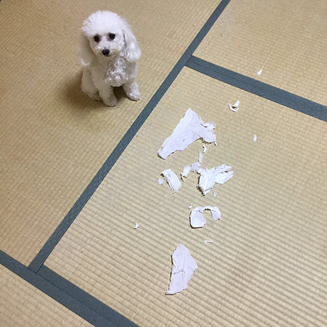 kakoさんの実例写真