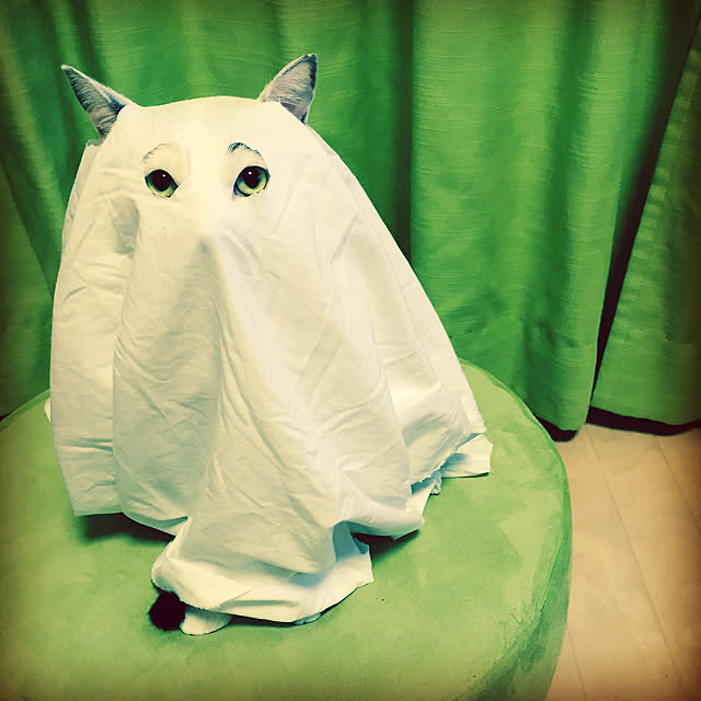 syuichi0109さんの実例写真