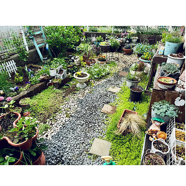 CoCo0617さんの部屋