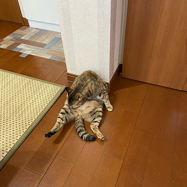 hansho.sさんの実例写真