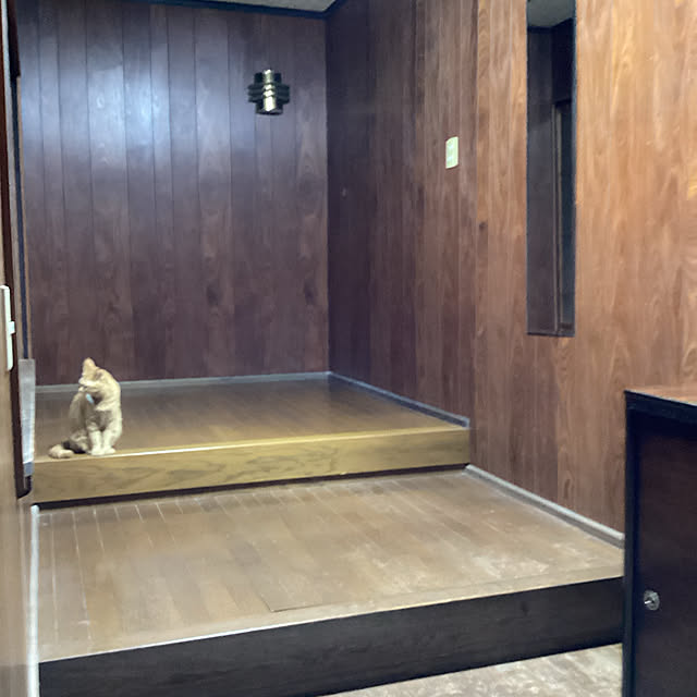 conatuさんの実例写真