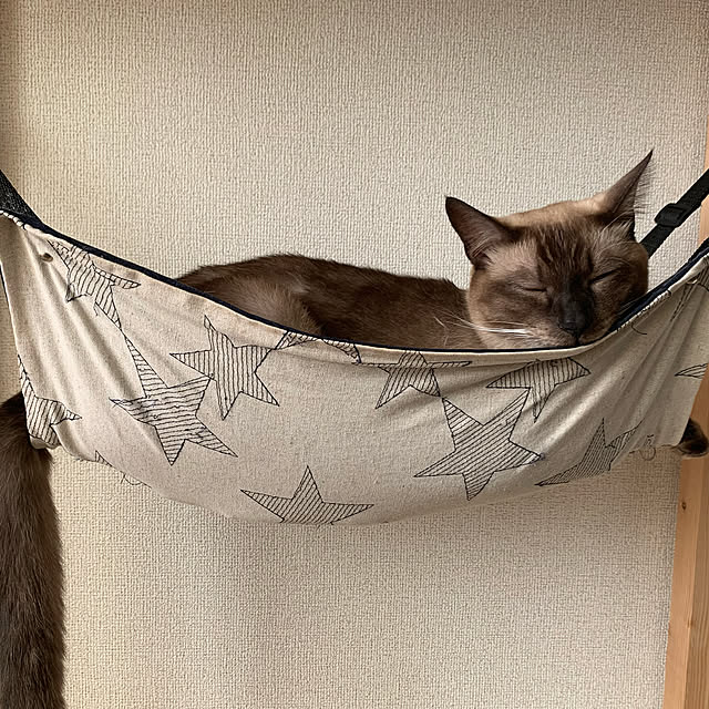 kimitamnさんの実例写真