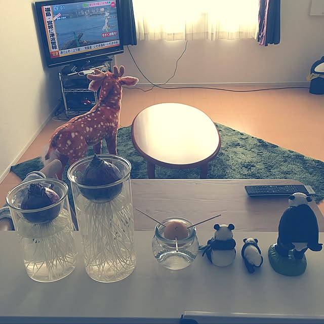 gumiminさんの実例写真